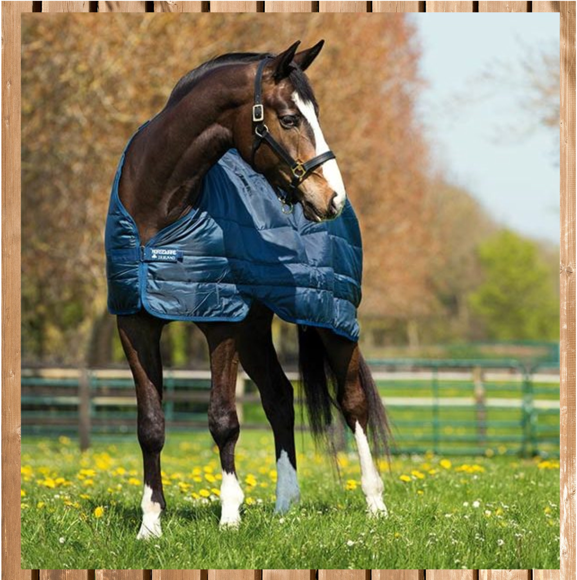 Horseware Liner 400g, Unterdecke